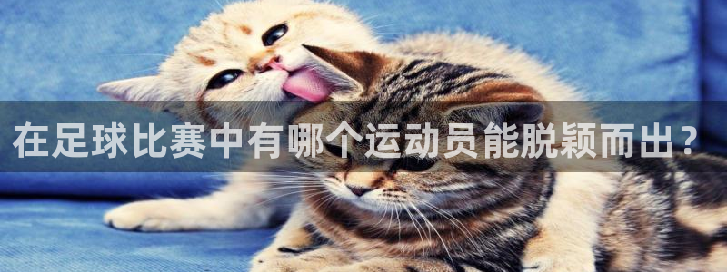 意昂官网