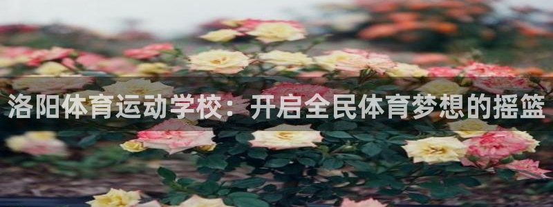 意昂4注册：洛阳体育运动学校：开启全民体育梦想的摇篮